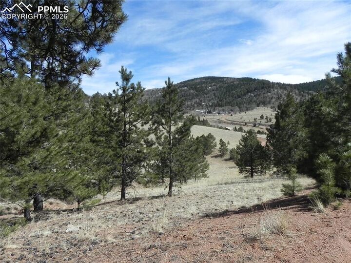 Property Photo:  1087 Monarch Drive  CO 80813 