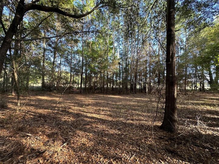 Property Photo:  Lots 25-30 33-37 40-41 Radio Avenue  FL 32097 