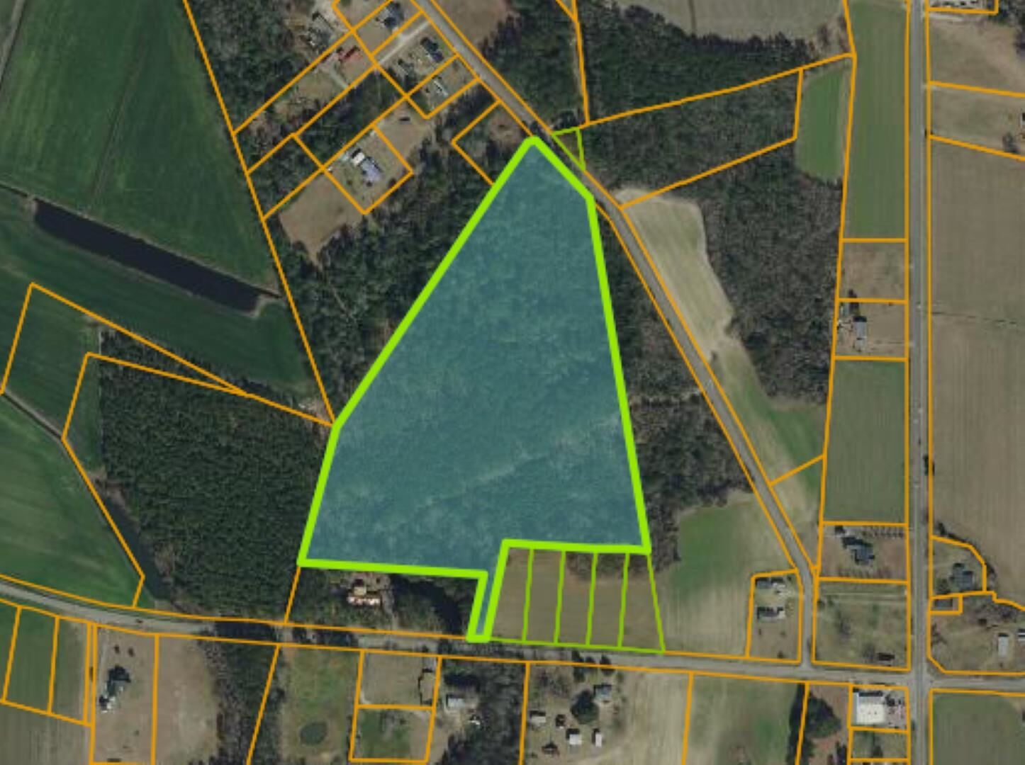 Property Photo:  Tbd Joyner Swamp Rd.  SC 29544 