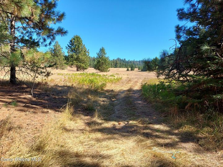 Property Photo: 13534 S Ridgeview Dr ID 83833