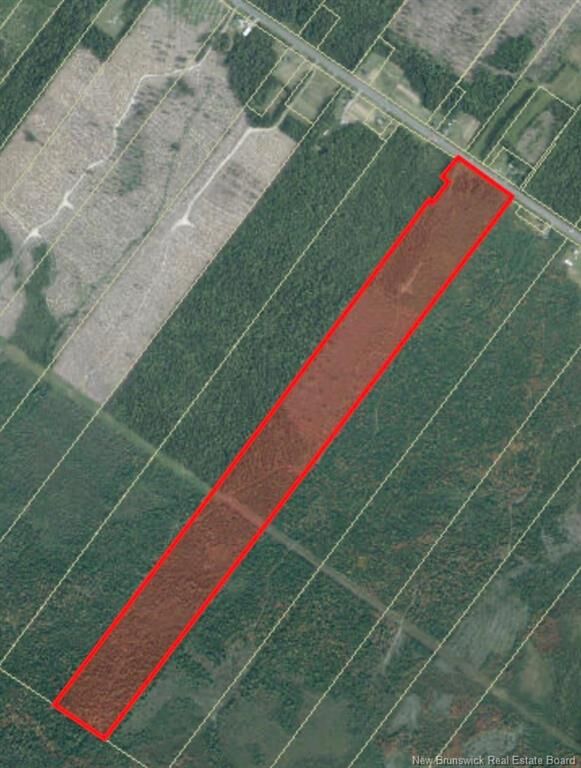 Property Photo:  Vacant Lot Route 11  NB E1N 5C7 