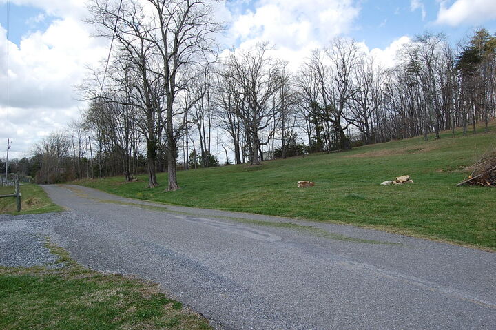 Property Photo: 0 Bennie Camp Road TN 37327