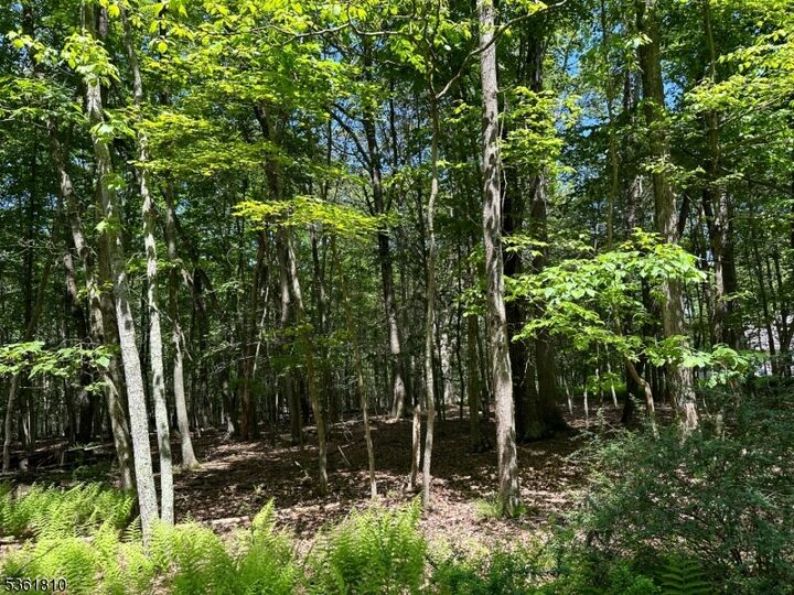 Property Photo:  0 Devita Rd  NJ 07826 