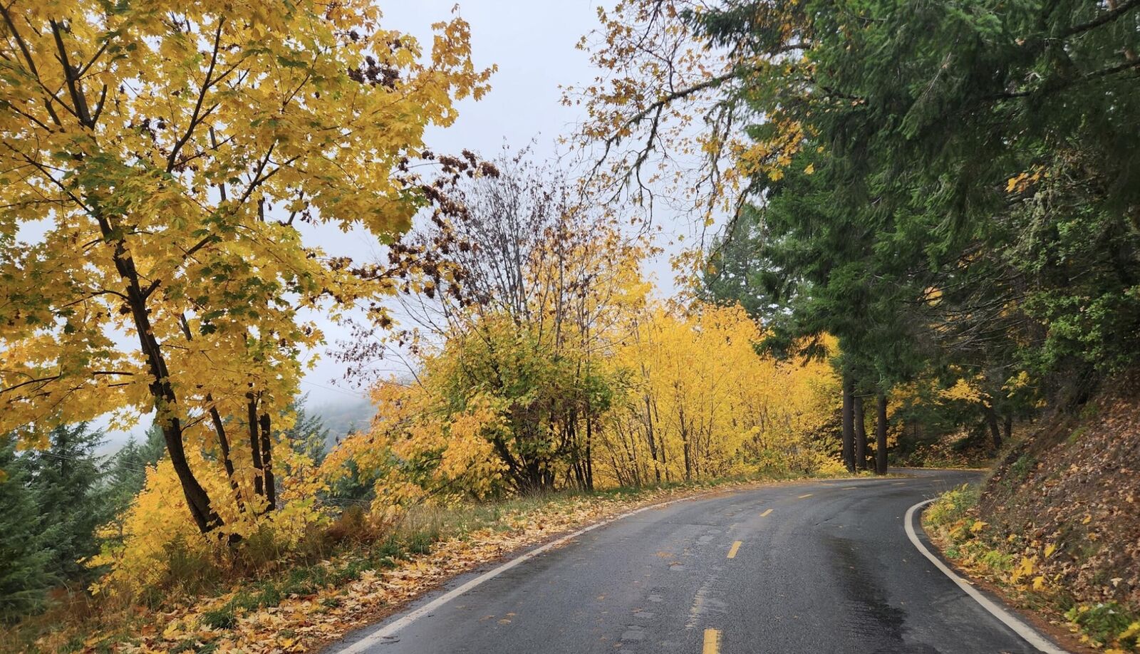 Property Photo:  1400 Titlow Hill Road  CA 95525 