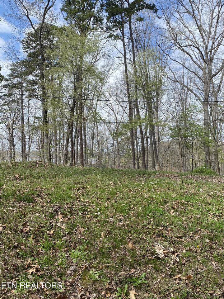 Property Photo: Lot 429 Mayflower Lane TN 37725