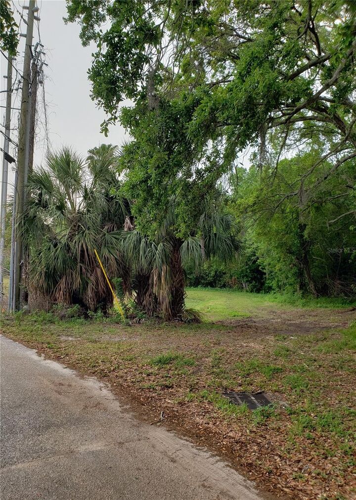 Property Photo:  Grosse Avenue  FL 34689 