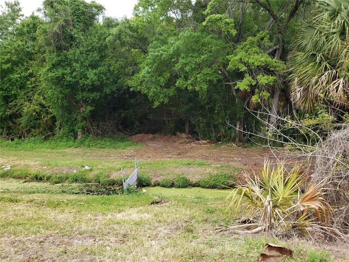 Property Photo: Grosse Avenue FL 34689