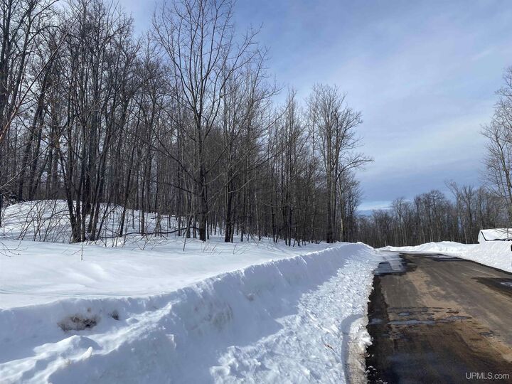 Property Photo:  Tbd Lot 29 S Whealkate Drive  MI 49963 