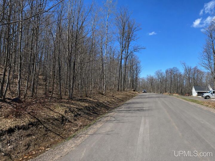 Property Photo:  Tbd Lot 29 S Whealkate Drive  MI 49963 