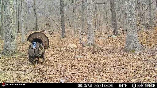 Property Photo:  0 Highway  O  MO 63645 