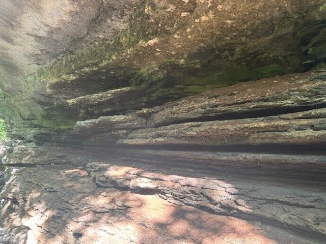 Property Photo:  190 Edgewater Drive  AR 72631 