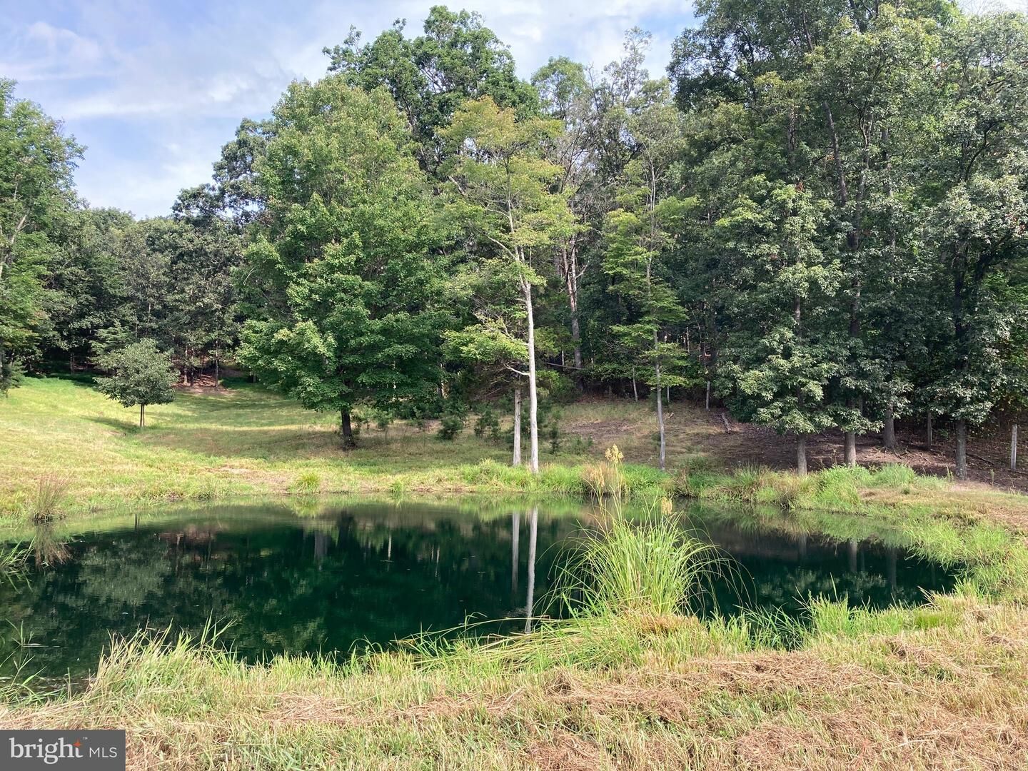 Property Photo:  000 Light Road  VA 22603 