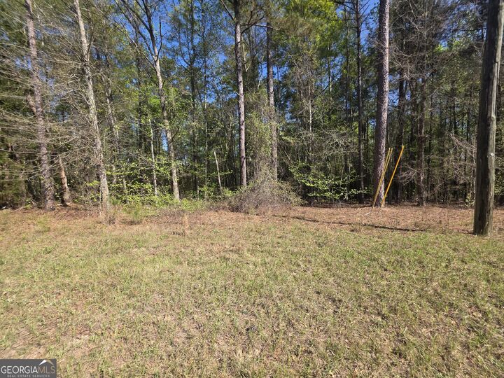 Property Photo:  Tract B Ga Highway 102  GA 30820 