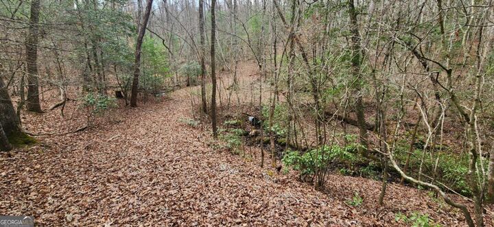 Property Photo: Lot 18 Gray Fox Trail GA 30512