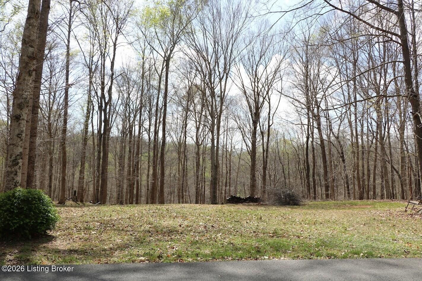 Property Photo:  Lot Lorel Dunbar Ln  KY 42629 