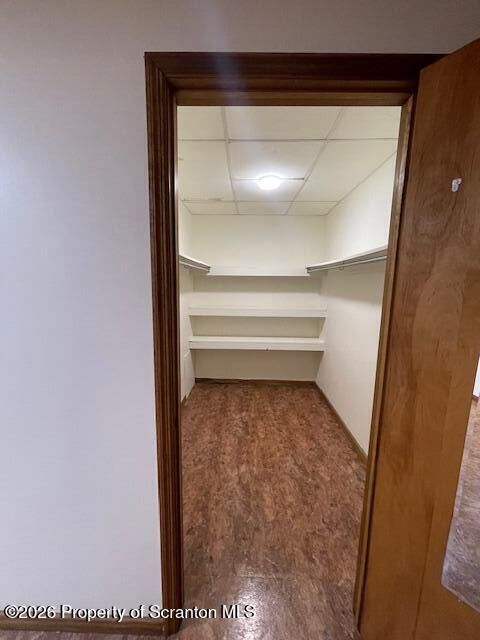 Property Photo:  1115 Wheeler Avenue  PA 18510 