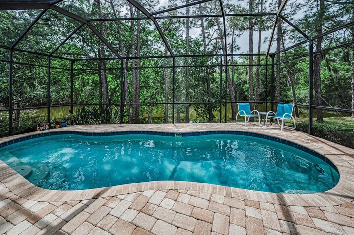 Property Photo:  1502 Woodstream Drive  FL 34677 