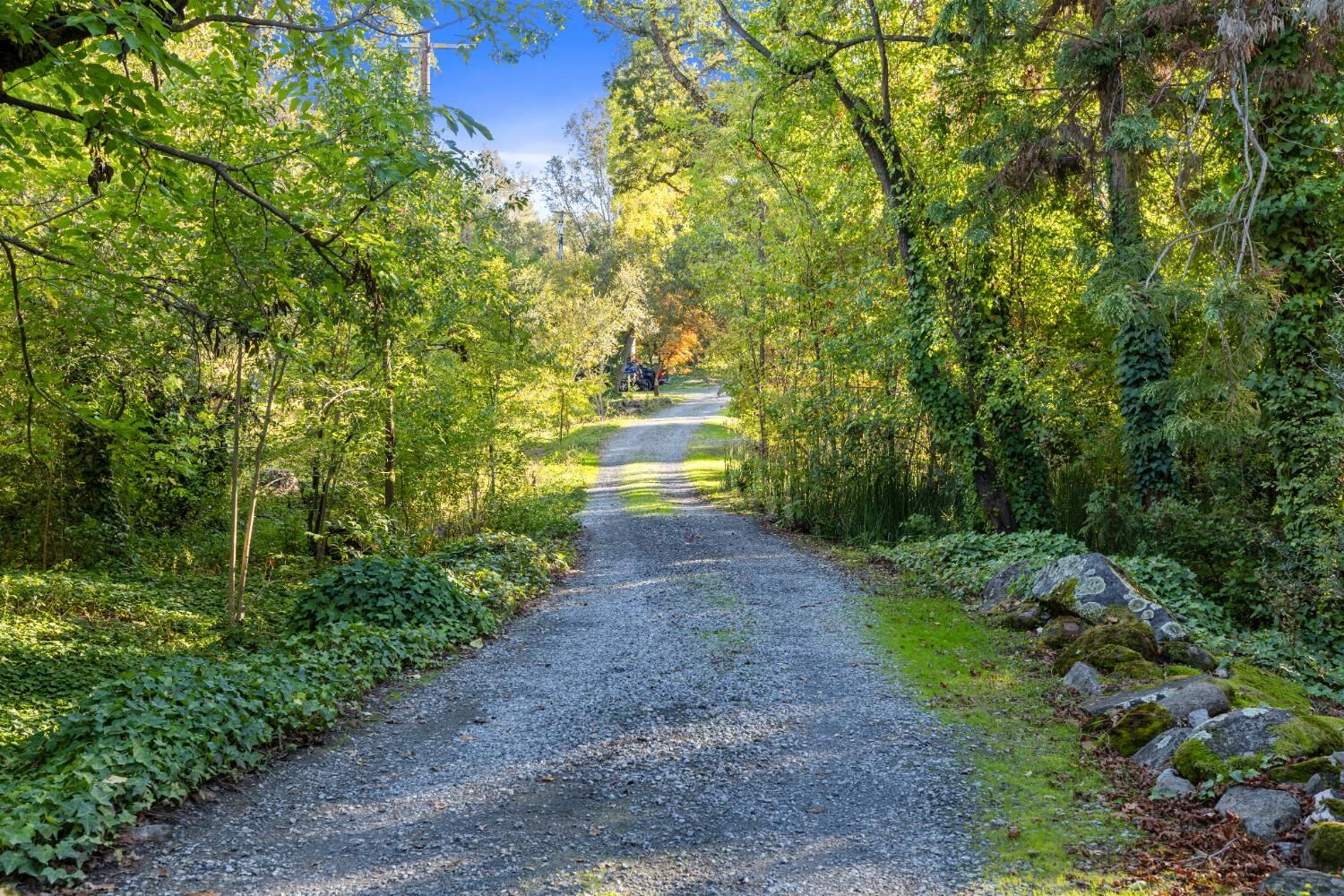 Property Photo:  8436 Wise Road  CA 95603 