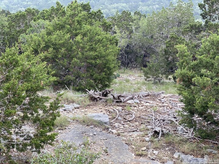 Property Photo:  3726 Morris Lynn  TX 78261 