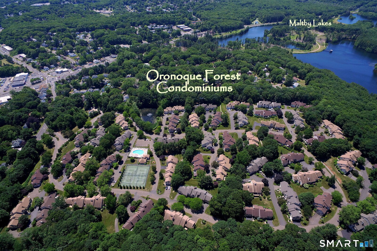 Property Photo:  690 Forest Road 771  CT 06516 