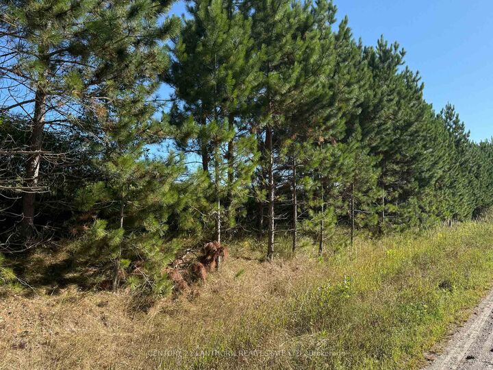 Property Photo:  0 Deloro Road  ON K0K 2K0 