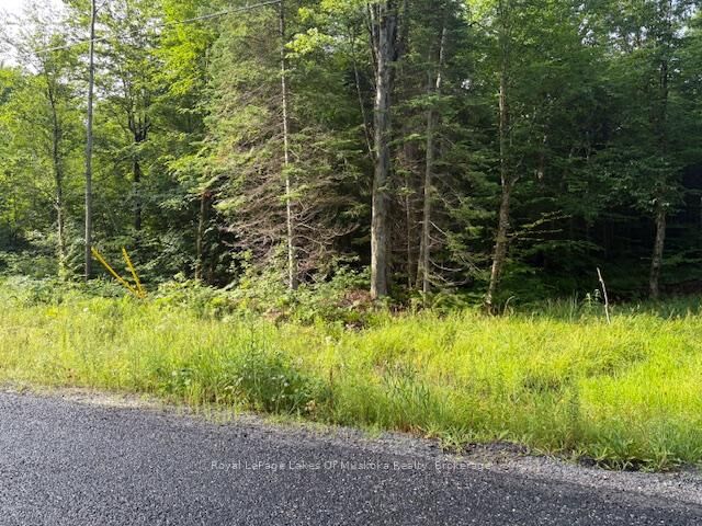 48 Summer Leigh Trail — photo 1