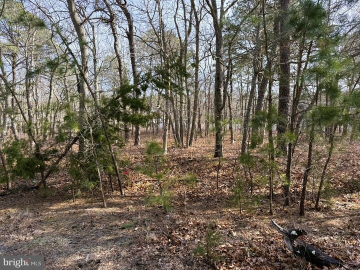 Property Photo:  16 Pinewood Drive  NJ 08087 