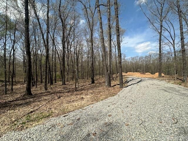 Property Photo:  1015 County Road 108 Strawfloor Road  AR 72404 