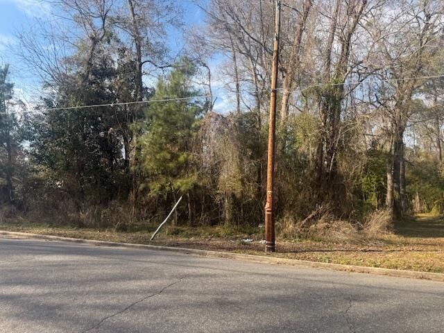Property Photo:  Near 217/Tbd East Clay St.  NC 28472 