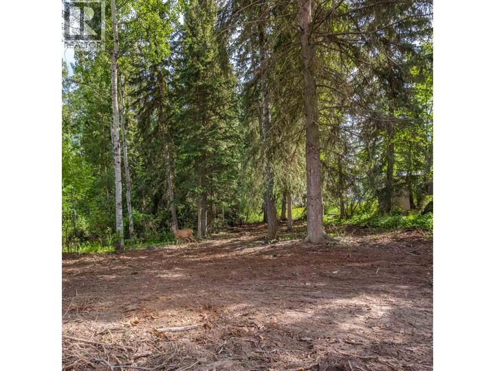 Property Photo:  81 Mulligan Drive Lot  BC V0K 2E3 