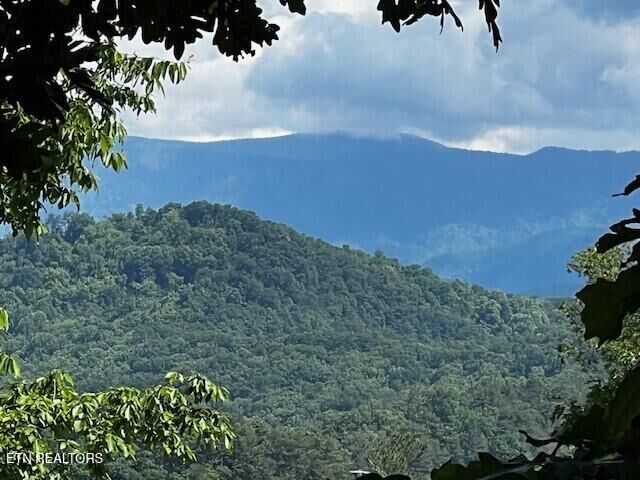 Property Photo: - Chinquapin Drive TN 37876