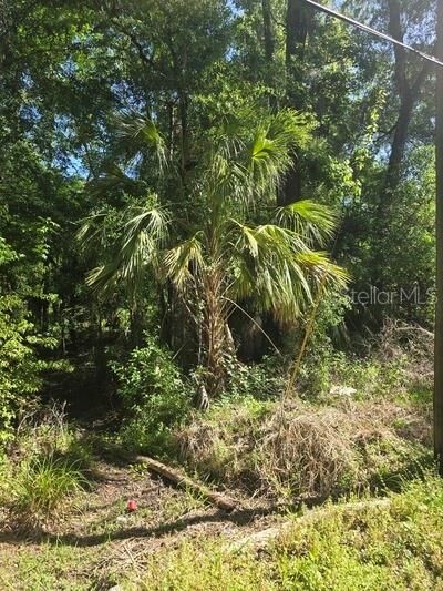 Property Photo: 0 Fort Dade Avenue FL 34601