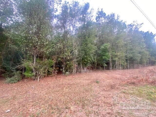 Property Photo:  13 Acres Hwy 4  FL 32565 