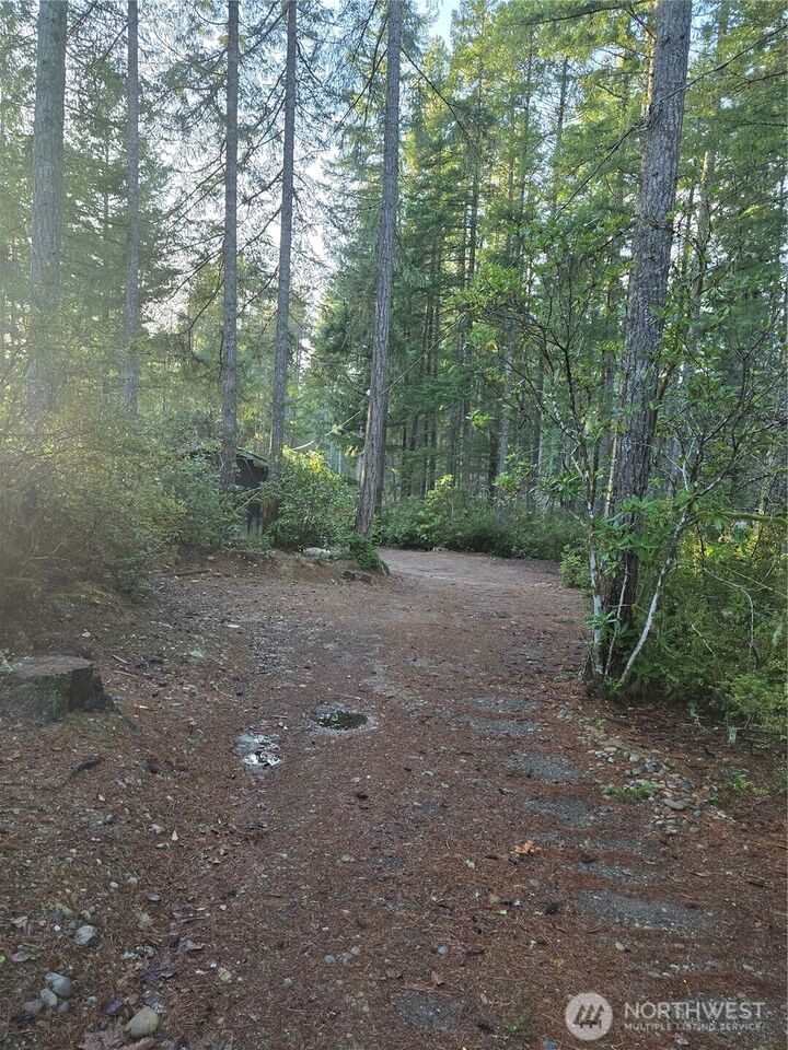 Property Photo:  0 Lot #55 NE Collins (80 Collins Dr.) Drive  WA 98588 