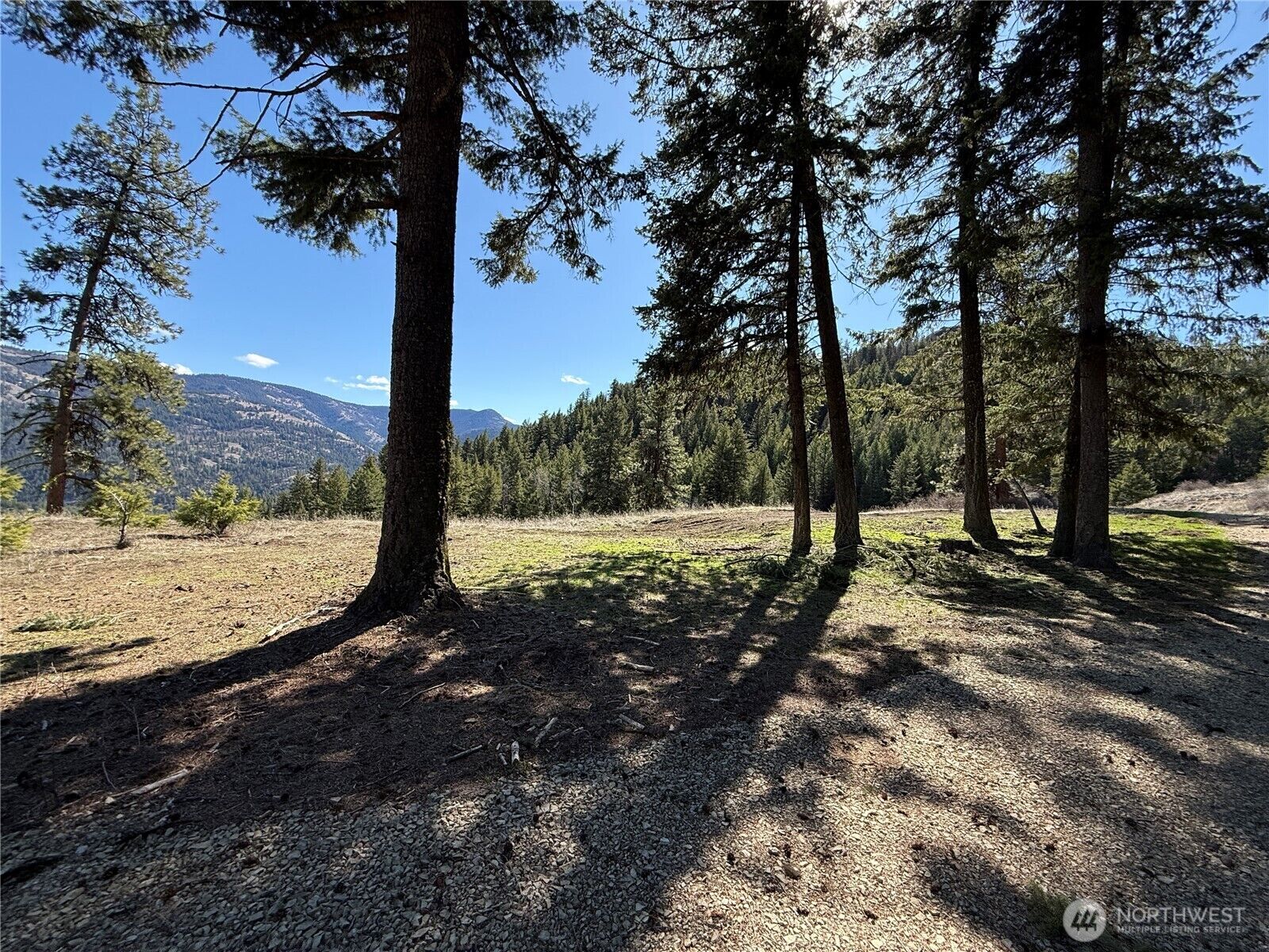 Property Photo: 0 Coogan Creek Road WA 98859