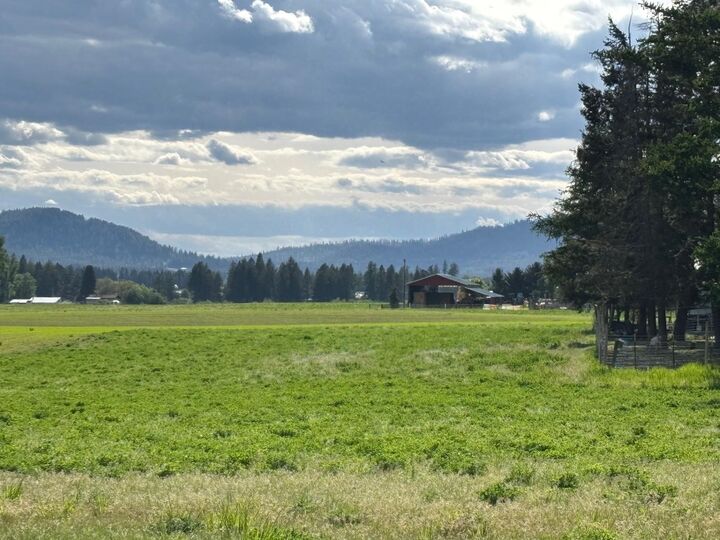 Property Photo:  46xx Bittrich-Antler Rd  WA 99006 