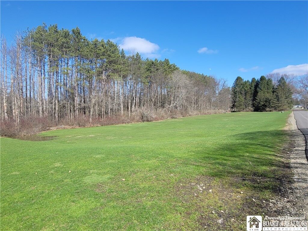 Property Photo:  Cherry Street  NY 14738 