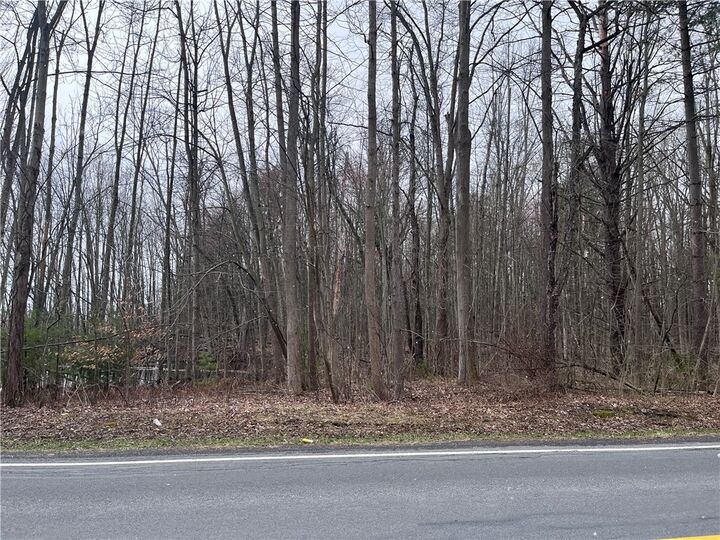Property Photo:  0 Packwood Road  NY 13165 