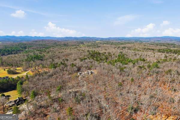 Property Photo:  Lot 16 Pit Road  GA 30512 