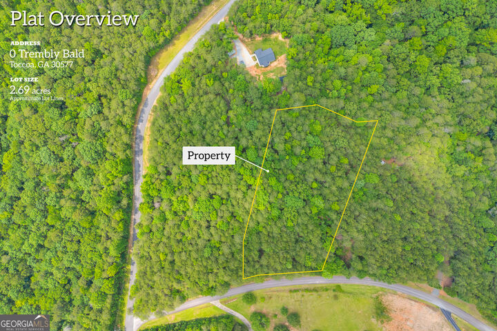 Property Photo:  0 Trembly Bald Road  GA 30577 