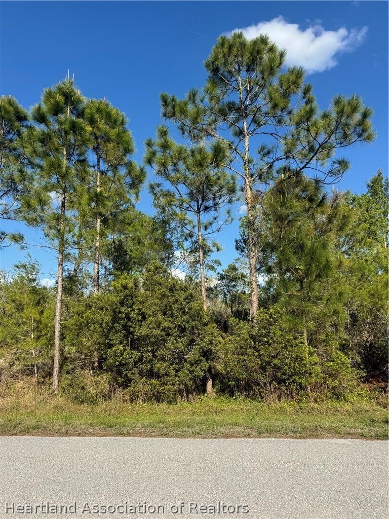 Property Photo: Tbd Galapagos Avenue NE FL 33852