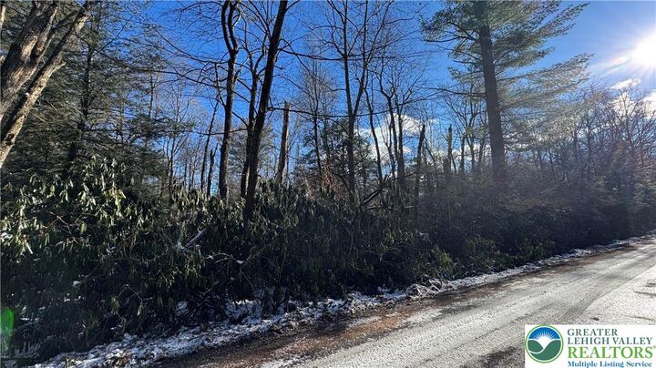 Property Photo:  Woodlands Road  PA 18210 