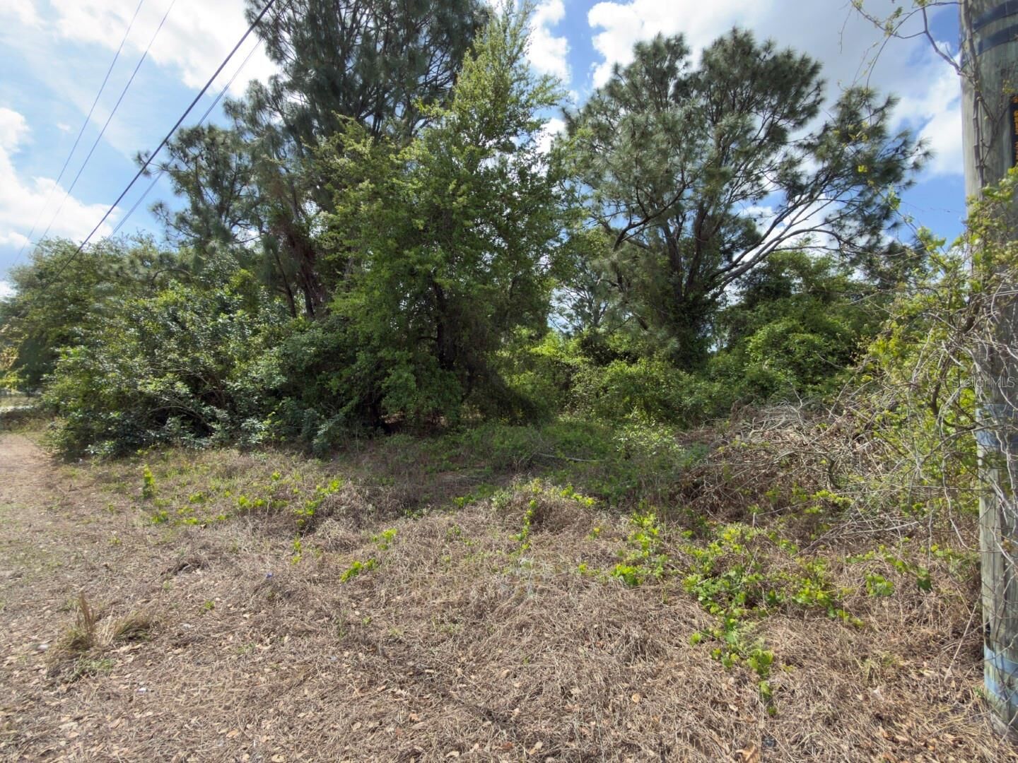 Property Photo:  4529 28th Street SW  FL 33973 
