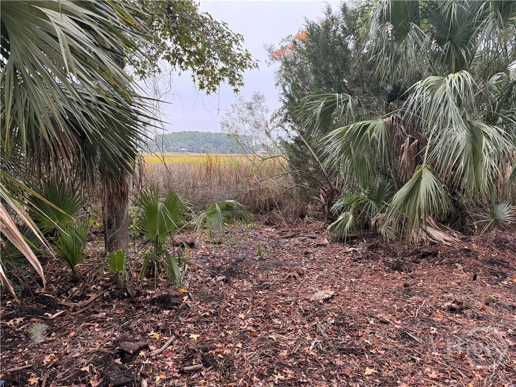 Property Photo: 209 Battery Way GA 31410