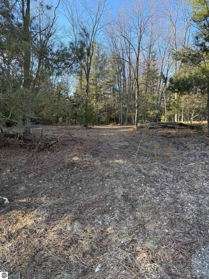 Property Photo:  00 Demerly Road  MI 49616 