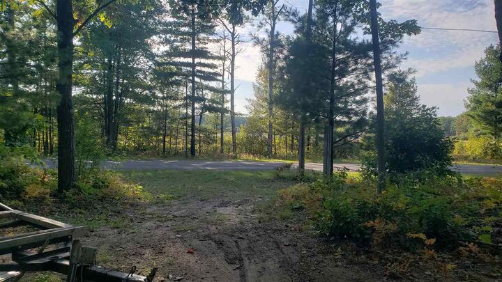 Property Photo:  10850 Mackinaw  MI 49718 