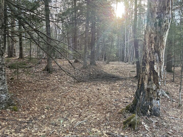 Property Photo:  2 Leshure Rd  MA 01367 