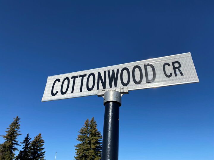 48 Cottonwood Crescent — photo 1