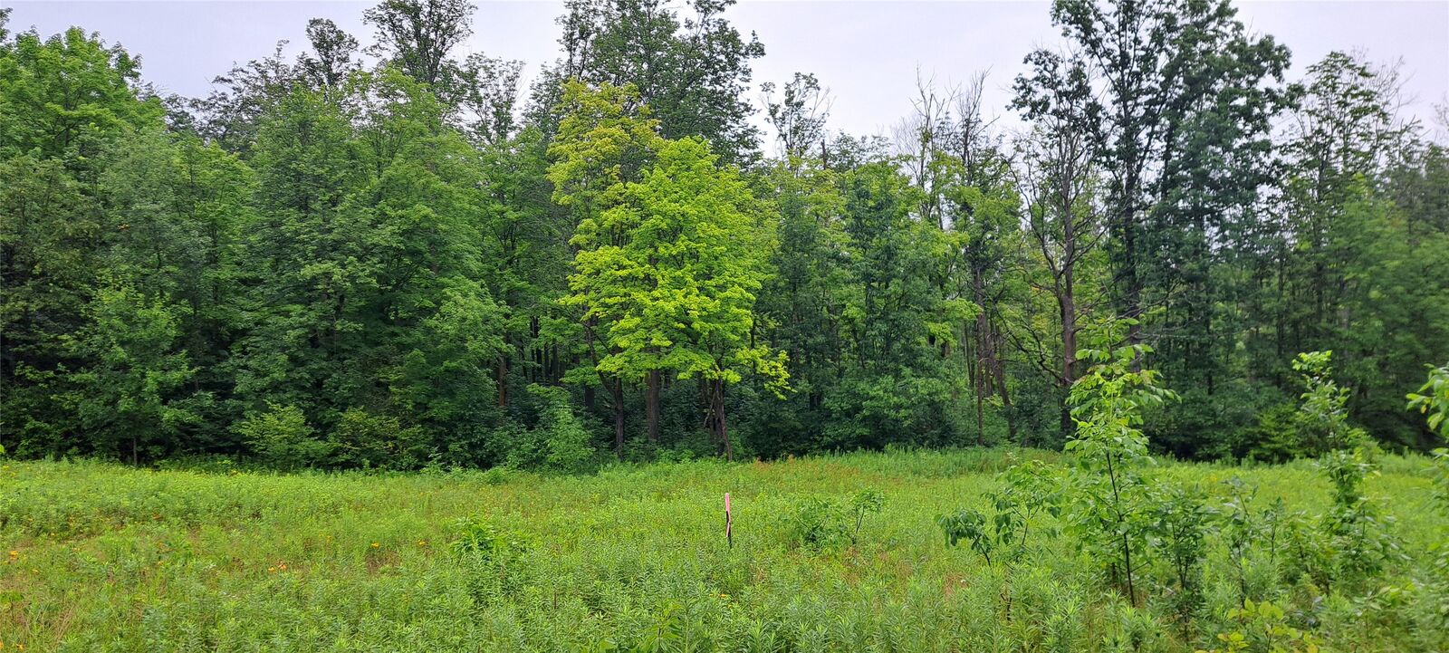 Property Photo:  Lot 4 Musky Point Drive  WI 54876 