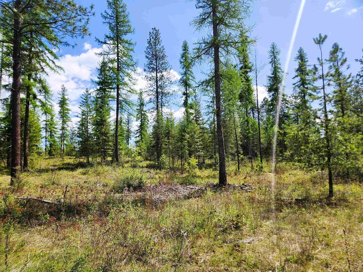 Property Photo:  3669 E Jump Off Joe Rd  WA 99181 